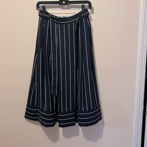 Banana Republic Skirt